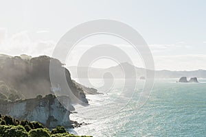 Cathedral Cove in Coromandel Peninsula, New Zealand