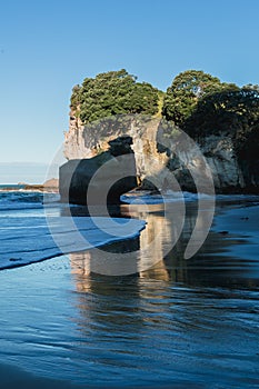 Cathedral Cove in Coromandel Peninsula, New Zealand