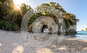 Cathedral cove in the Hahei area on the coromandel region in New Zealand
