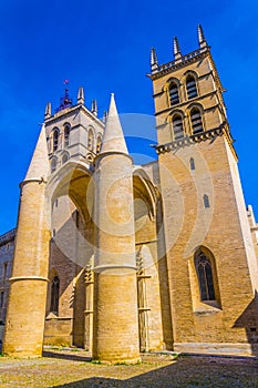 Cathedral de Saint Pierre in Montpellier, France