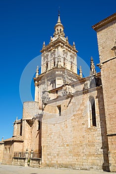 Cathedral in El Burgo de Osma, Castilla Leon in Spain photo