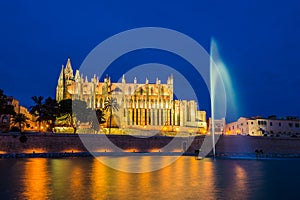 The Palma de Mallroca Cathedral photo