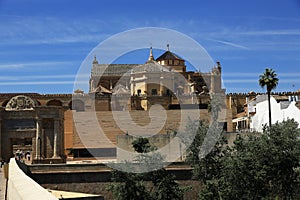 The Cathedral and former Great Mosque of Cordoba; Andalusia, Spain