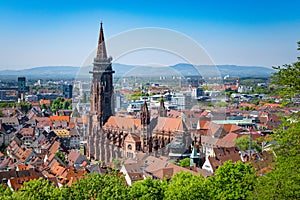 Cathedral in Freiburg photo