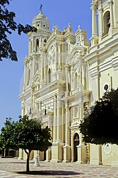 Cathedral of Hermosillo photo