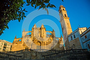 Cathedral of the Holy Saviour in Jerez de la Frontera