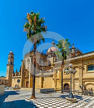 Cathedral of holy saviour in Jerez de la Frontera in Spain photo