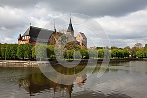 The Cathedral of Kaliningrad photo