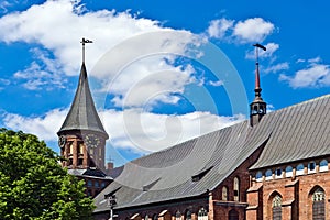 Cathedral of Koenigsberg. Gothic, 14th century