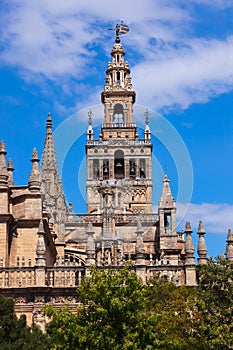 Cathedral La Giralda at Sevilla Spain photo