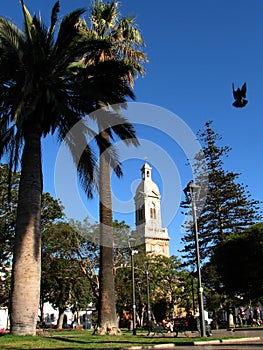 Cathedral of La Serena / Chile photo