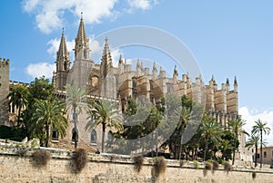 Cathedral La Seu in Palma de Mallorca