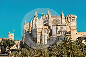 Cathedral La Seu under blue sky in Palma, Spain