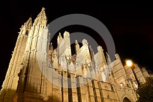 Cathedral of Majorca in Palma de Mallorca night