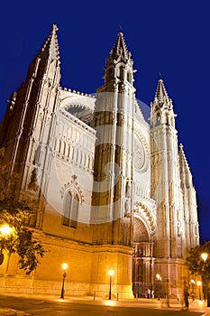 Cathedral of Majorca in Palma de Mallorca night