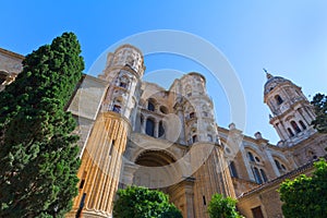 Cathedral of Malaga