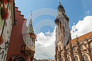 Cathedral And Merchant Hall In Freiburg