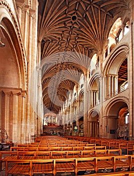 The Cathedral at Norwich photo