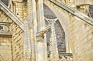 Cathedral notre dame in Paris