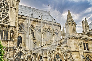 Cathedral notre dame in Paris