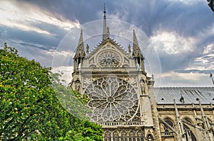 Cathedral notre dame in Paris