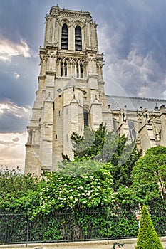 Cathedral notre dame in Paris