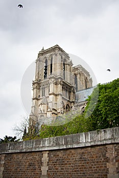 Cathedral of Notre Dame, Paris, France