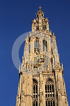 Catedral de nuestro dama sobre el amberes 