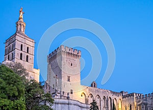 Cathedral of Our Lady of Doms in Avignon