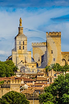 Cathedral Of Our Lady of Doms - Avignon, France photo