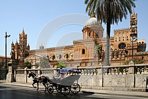Cathedral of Palermo