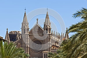 Cathedral Palma de Majorca, Catedral de Santa MarÃ­a de Palma de Mallorca, Gothic Church made of golden sandstone, Spain