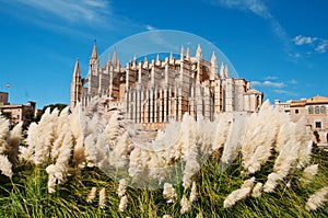 Cathedral of Palma de Majorca, Spain