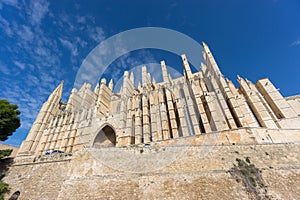 Cathedral of Palma de Majorca, wide angle