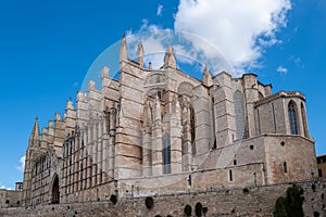 The cathedral in Palma de Mallorca