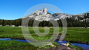 Cathedral Peak and meadows in Yosemite Park photo