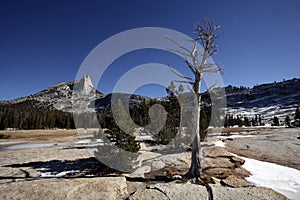 Cathedral Peak, Yosemite National Park photo