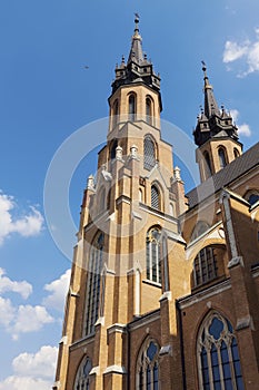 Cathedral of the Protection of the Blessed Virgin Mary in Radom