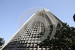 Cathedral of Rio de Janeiro