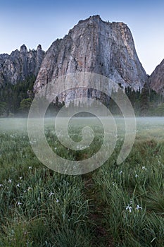 Cathedral Rocks and Cathedral Spires are a prominent collection of cliffs, buttresses and pinnacles located on Yosemite Valley.