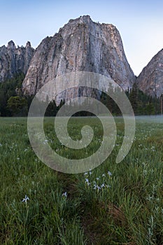 Cathedral Rocks and Cathedral Spires are a prominent collection of cliffs, buttresses and pinnacles located on Yosemite Valley.