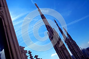 Cathedral roof 2 photo