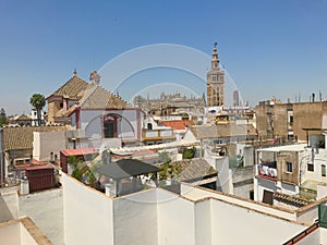 Cathedral from rooftop