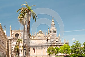 Cathedral of Saint Mary, Catedral de Santa Maria de la Sede in Seville