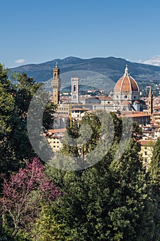 Cathedral of Saint Mary of the Flower in Florence, Italy