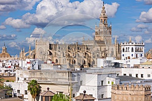 The Cathedral of Saint Mary of the See in Seville