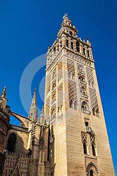 Cathedral of Saint Mary in Seville - Andalusia, Spain