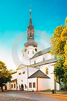 Cathedral of Saint Mary the Virgin or Dome Church or Toomkirik in Tallinn, Estonia.