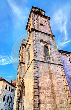 The Cathedral of Saint Tryphon in Kotor, Montenegro