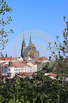 Cathedral of Saints Peter and Paul in Brno